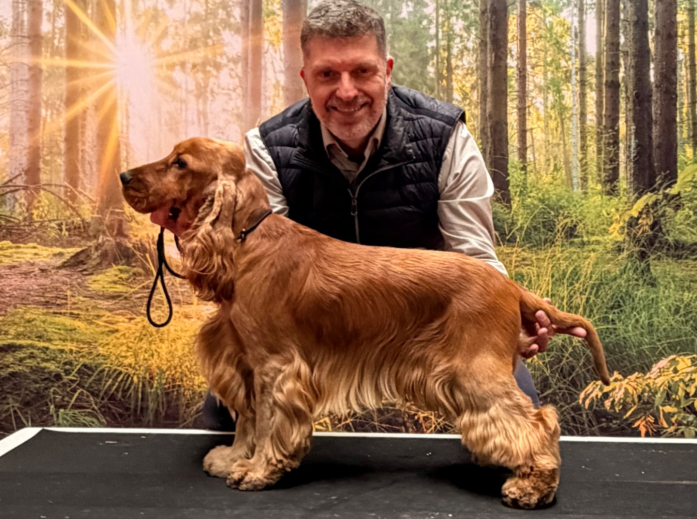 Arald viking star Du Royaume De Lecki