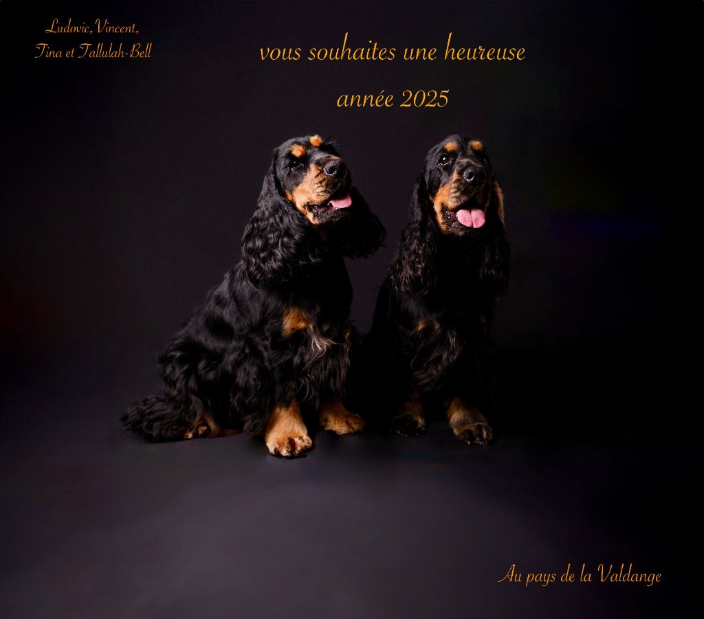 Au Pays De La Valdange -  !2025!